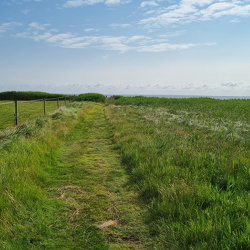 nye låger til vaden